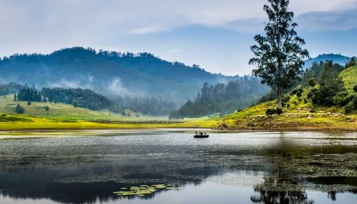 8 Interesting Facts About Kodaikanal!